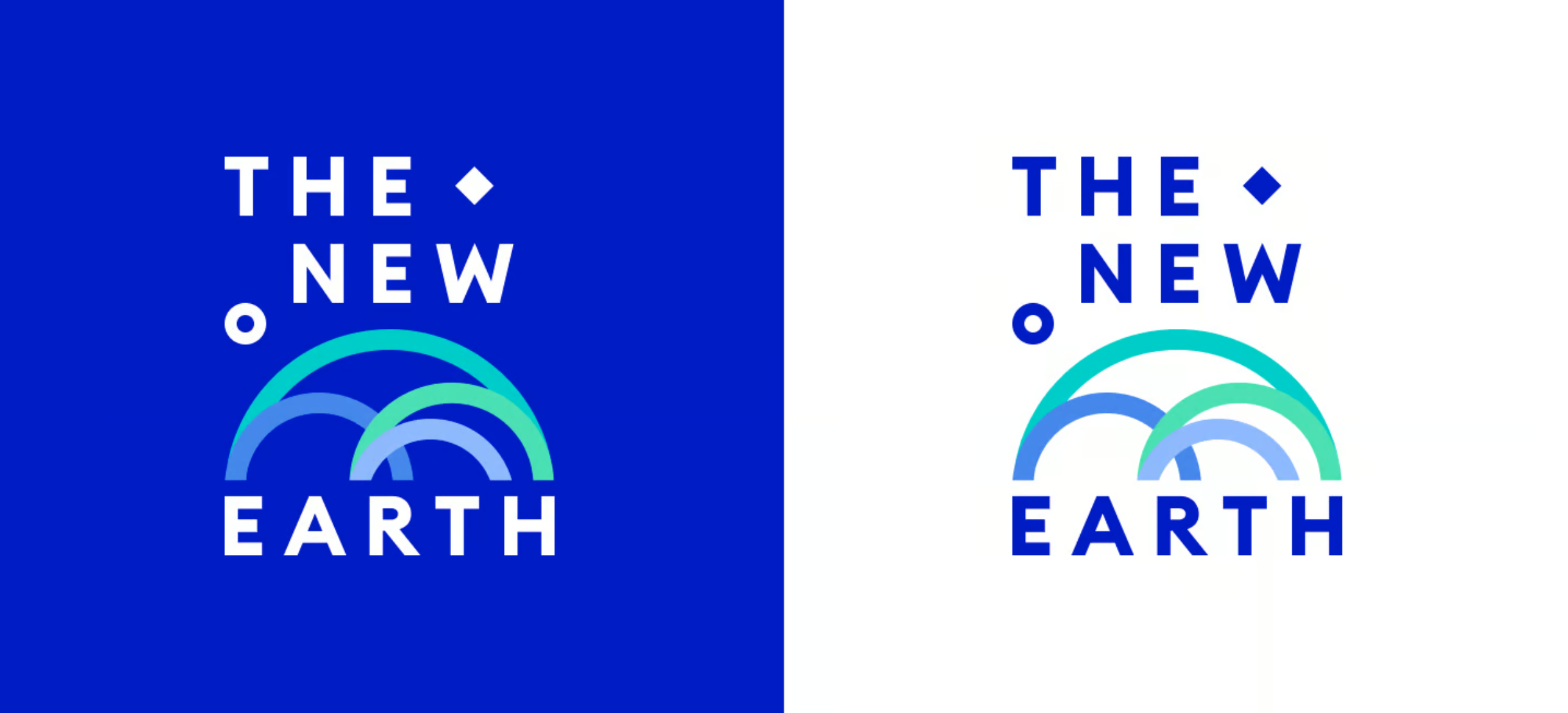 The New Earth Institute